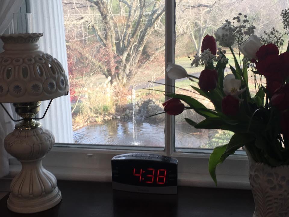 Winridge Manor Bed And Breakfast Madison Heights Εξωτερικό φωτογραφία