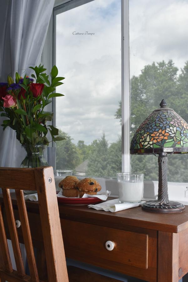 Winridge Manor Bed And Breakfast Madison Heights Εξωτερικό φωτογραφία